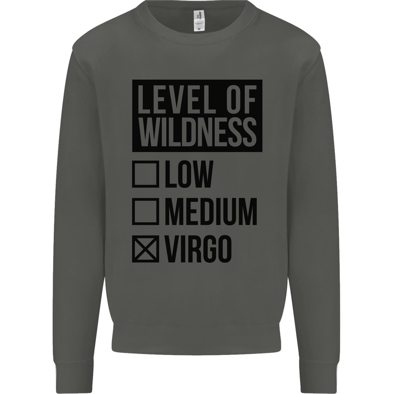 Levels of Wildness Virgo Kids Sweatshirt Jumper Storm Grey
