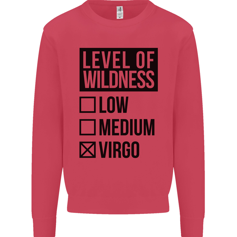Levels of Wildness Virgo Mens Sweatshirt Jumper Heliconia