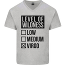 Levels of Wildness Virgo Mens V-Neck Cotton T-Shirt Sports Grey