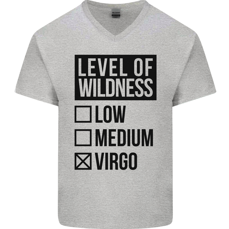 Levels of Wildness Virgo Mens V-Neck Cotton T-Shirt Sports Grey