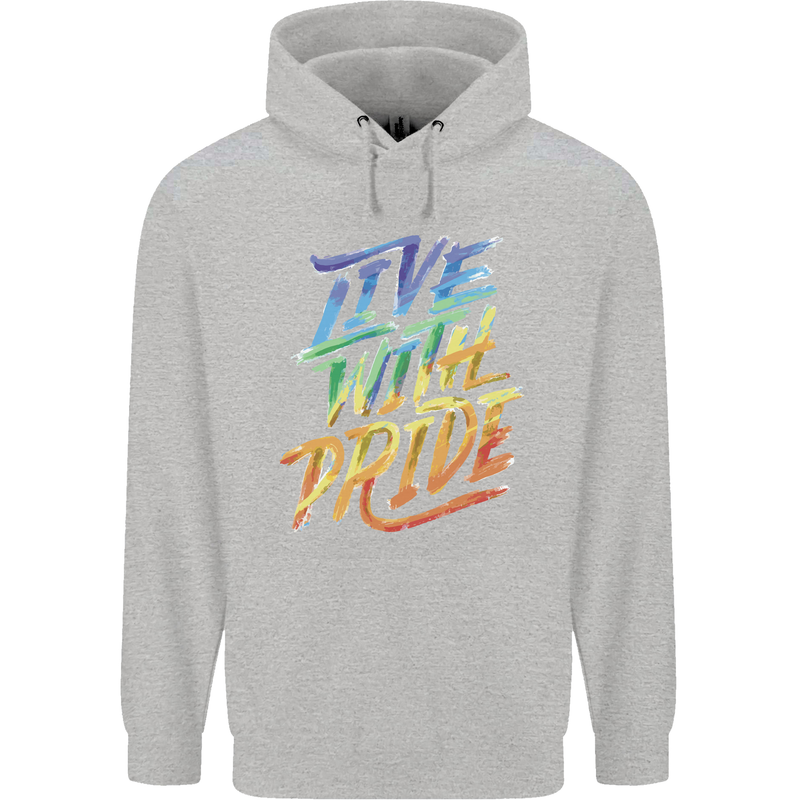Live With Pride LGBT Gay Pride Mens 80% Cotton Hoodie Sports Grey