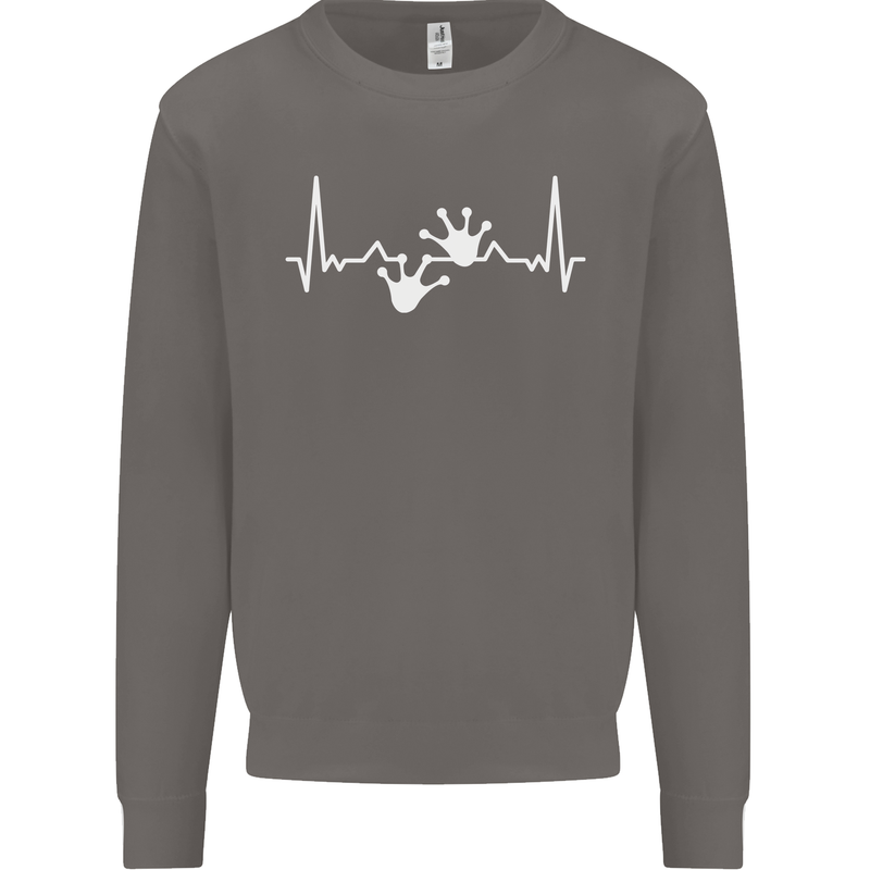 Lizard ECG Gekko Pulse Iguana Gecko Mens Sweatshirt Jumper Charcoal