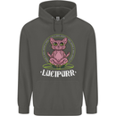 Lucipurr Demonic Hail Satan Cat Evil Childrens Kids Hoodie Storm Grey