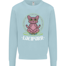 Lucipurr Demonic Hail Satan Cat Evil Kids Sweatshirt Jumper Light Blue
