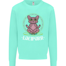 Lucipurr Demonic Hail Satan Cat Evil Kids Sweatshirt Jumper Peppermint