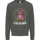 Lucipurr Demonic Hail Satan Cat Evil Kids Sweatshirt Jumper Storm Grey