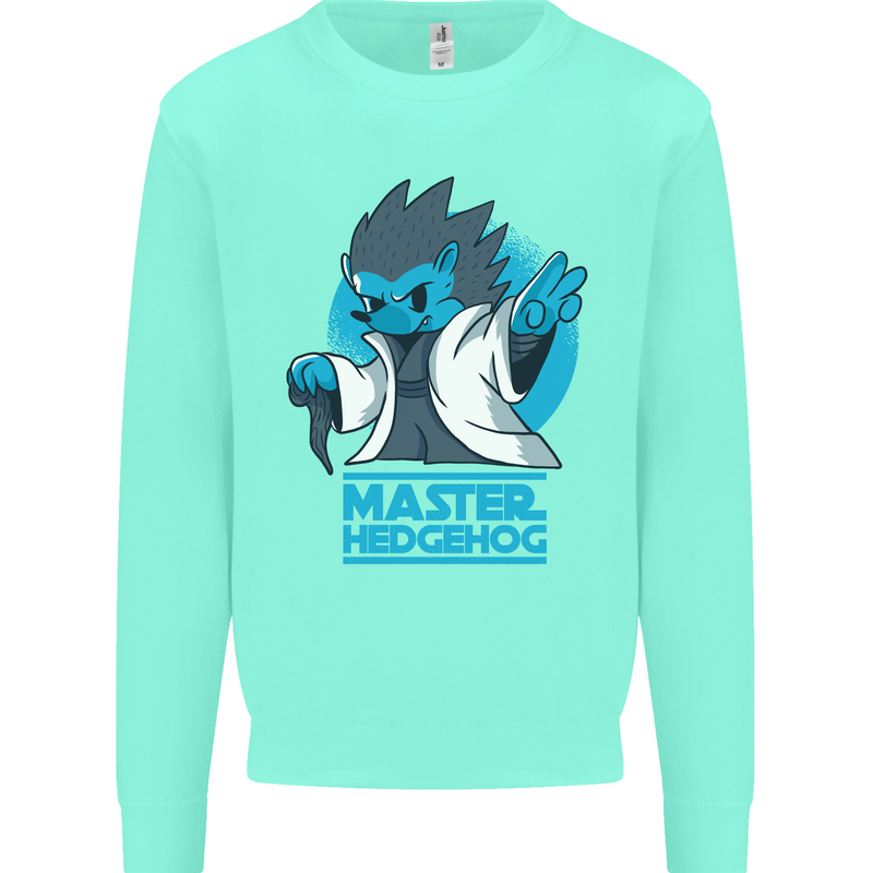 Master Hedgehog Funny Movie Parody Kids Sweatshirt Jumper Peppermint