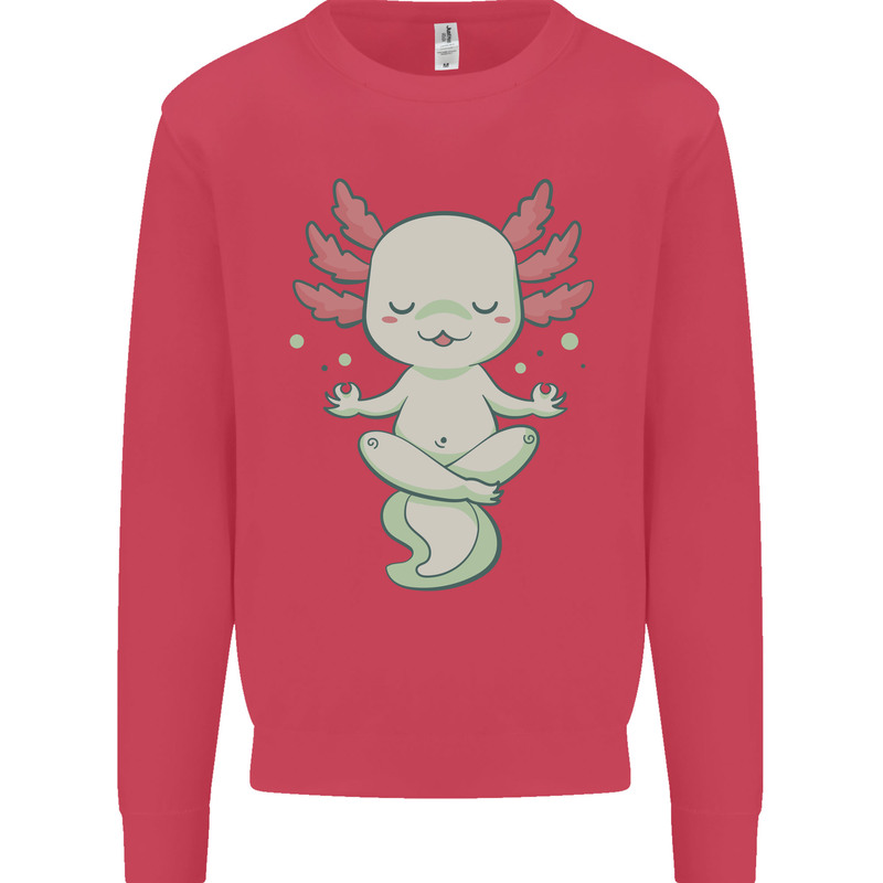Meditating Axolot Yoga Spiritual Kids Sweatshirt Jumper Heliconia