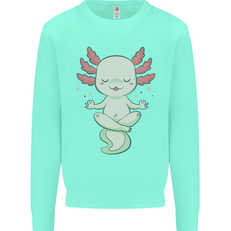 Meditating Axolot Yoga Spiritual Kids Sweatshirt Jumper Peppermint