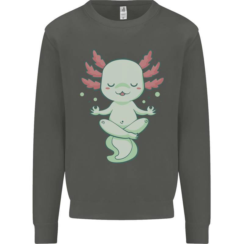 Meditating Axolot Yoga Spiritual Kids Sweatshirt Jumper Storm Grey