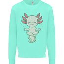Meditating Axolot Yoga Spiritual Mens Sweatshirt Jumper Peppermint