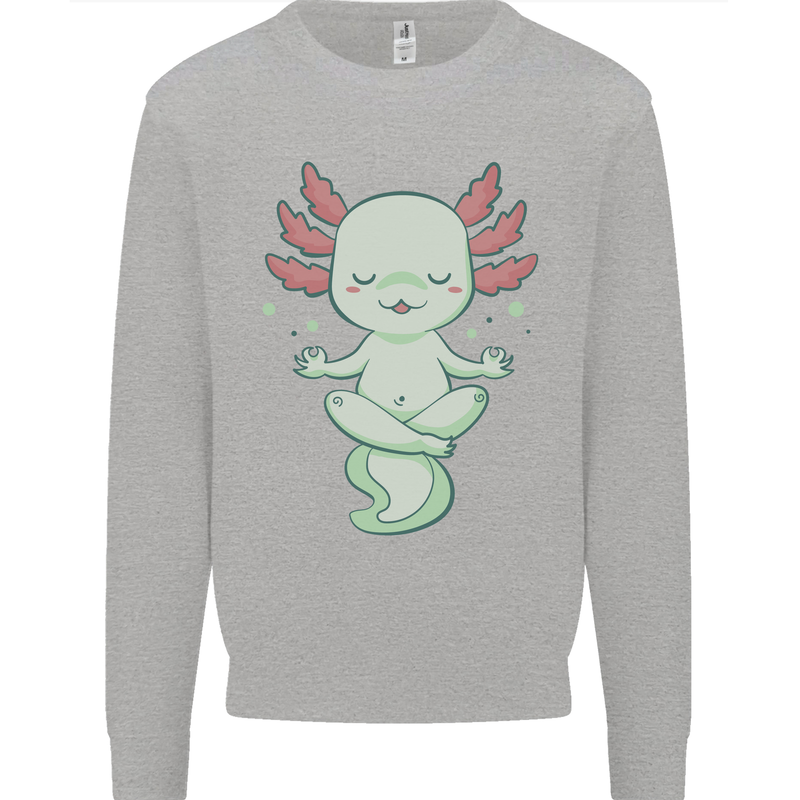 Meditating Axolot Yoga Spiritual Mens Sweatshirt Jumper Sports Grey