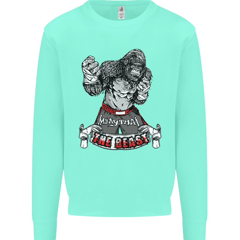 Muay Thai The Beast MMA Mixed Martial Arts Kids Sweatshirt Jumper Peppermint