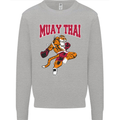 Muay Thai Tiger MMA Mixed Martial Arts Kids Sweatshirt Jumper Sports Grey