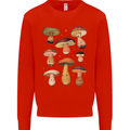 Mushroom Faces Foraging Mycology Kids Sweatshirt Jumper Bright Red
