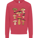 Mushroom Faces Foraging Mycology Kids Sweatshirt Jumper Heliconia