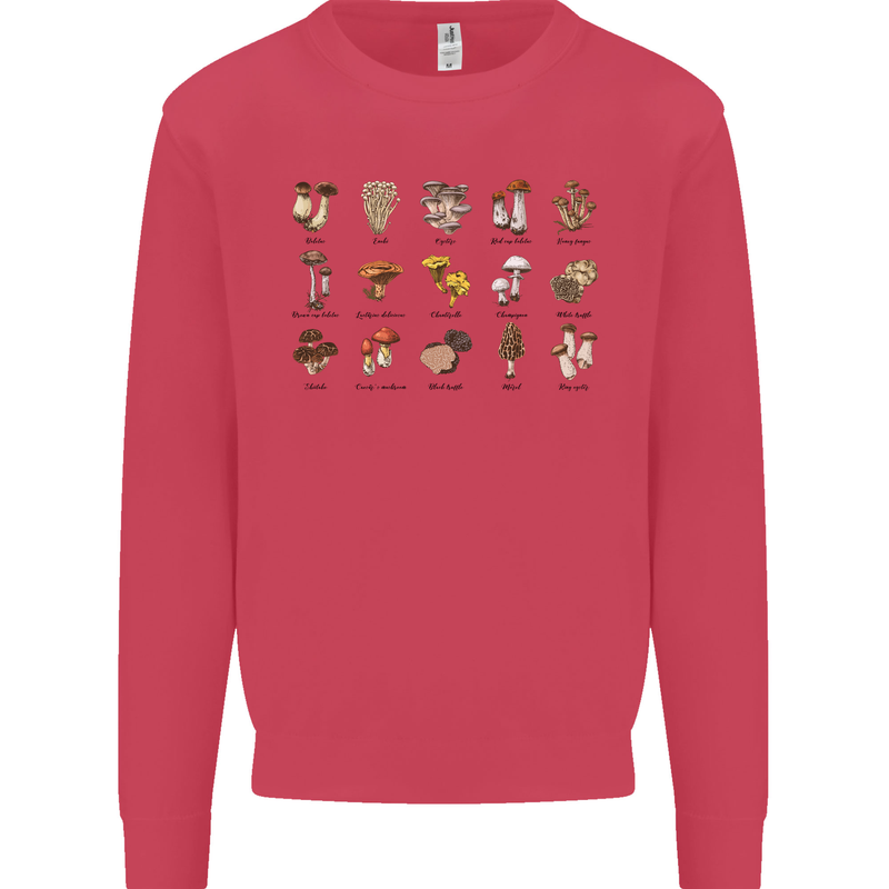 Mushroom Species Foraging Mycology Kids Sweatshirt Jumper Heliconia