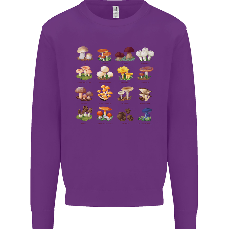 Mushroom Species Mens Sweatshirt Jumper Purple
