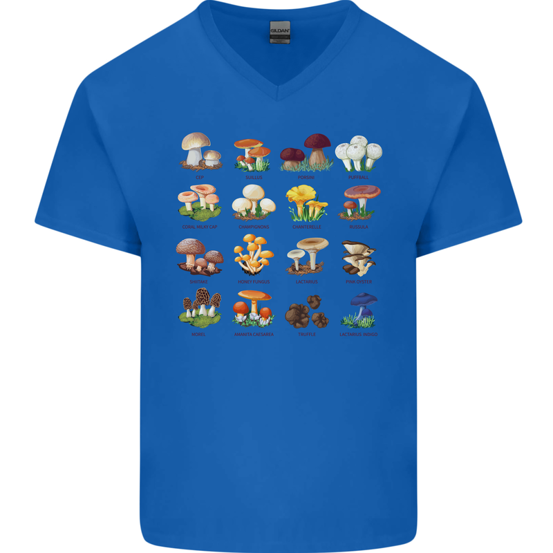 Mushroom Species Mens V-Neck Cotton T-Shirt Royal Blue
