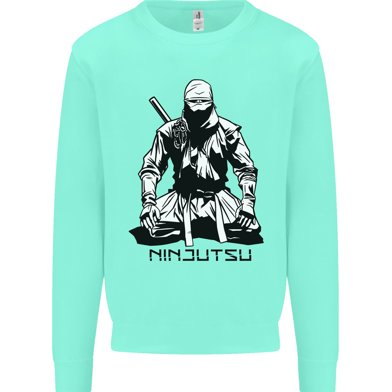 Ninjitsu A Ninja MMA Mixed Martial Arts Mens Sweatshirt Jumper Peppermint