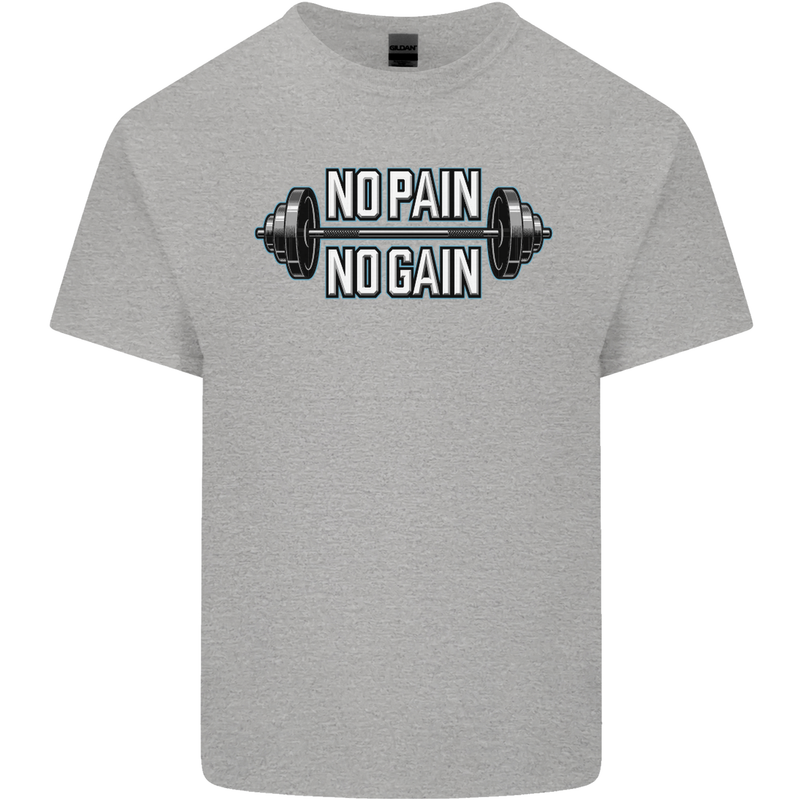 No Pain No Gain Workout Gym Training Top Mens Cotton T-Shirt Tee Top Sports Grey