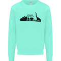 Noahs Ark Dinosaurs T-Rex Atheist Atheism Mens Sweatshirt Jumper Peppermint