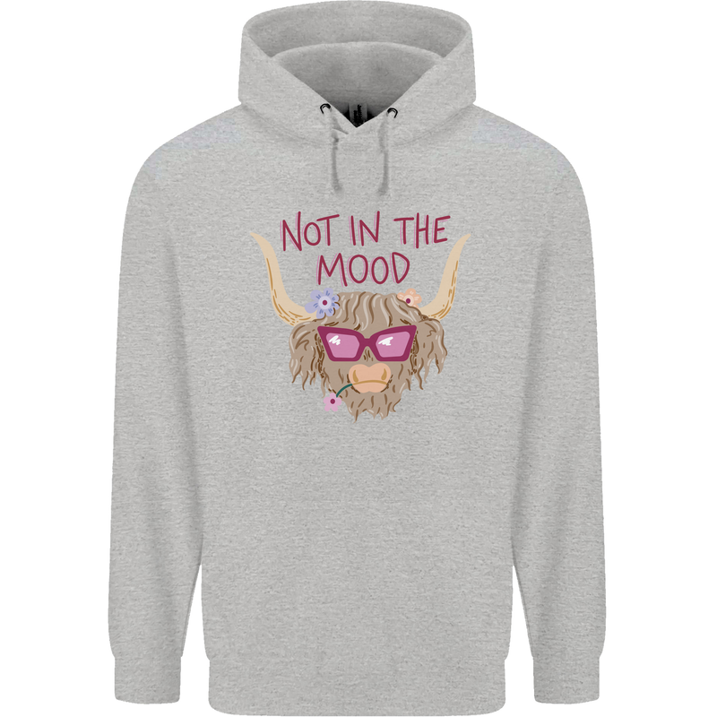 Not in the Mood Funny Highland Cow Childrens Kids Hoodie Sports Grey