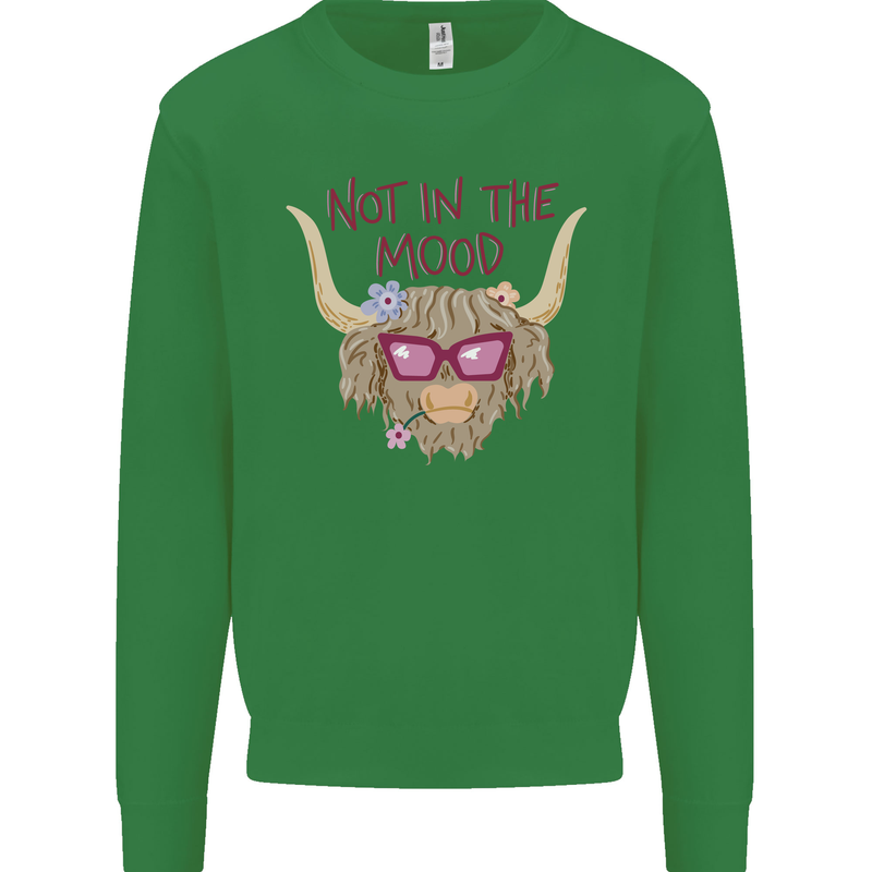 Not in the Mood Funny Highland Cow Kids Sweatshirt Jumper Irish Green