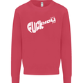 Offensive Guitar Acoustic Electric Bass Mens Sweatshirt Jumper Heliconia