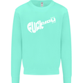 Offensive Guitar Acoustic Electric Bass Mens Sweatshirt Jumper Peppermint