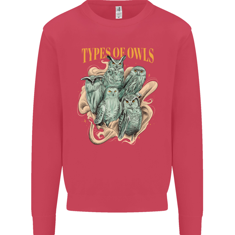 Owls Species Kids Sweatshirt Jumper Heliconia
