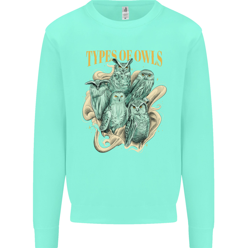 Owls Species Kids Sweatshirt Jumper Peppermint