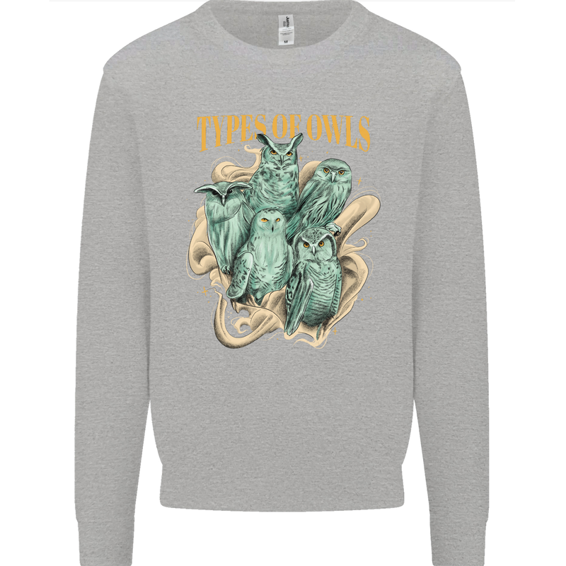 Owls Species Kids Sweatshirt Jumper Sports Grey
