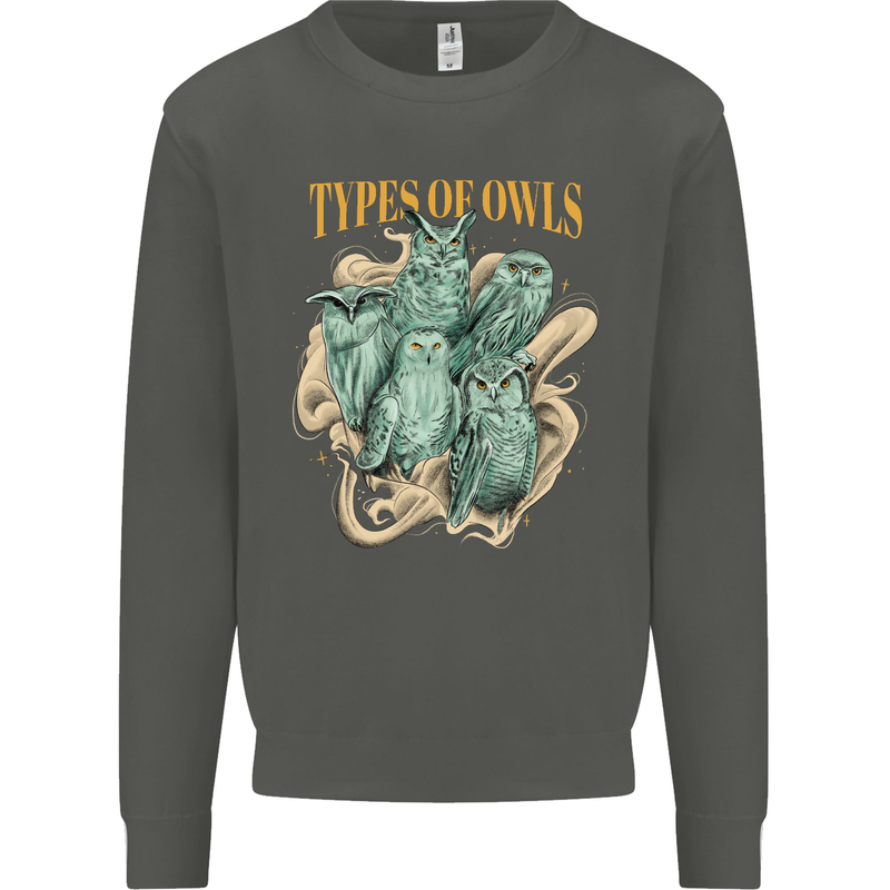 Owls Species Kids Sweatshirt Jumper Storm Grey