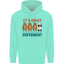 Panda Bear LGBT It's Okay to Be Different Mens 80% Cotton Hoodie Peppermint