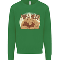 Papa Bear Funny Fathers Day Mens Sweatshirt Jumper Irish Green