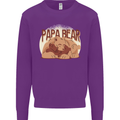 Papa Bear Funny Fathers Day Mens Sweatshirt Jumper Purple