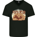 Papa Bear Funny Fathers Day Mens V-Neck Cotton T-Shirt Black