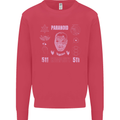 Paranoid Conspiracy Skull Kids Sweatshirt Jumper Heliconia