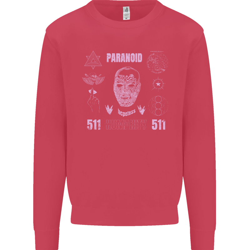 Paranoid Conspiracy Skull Kids Sweatshirt Jumper Heliconia
