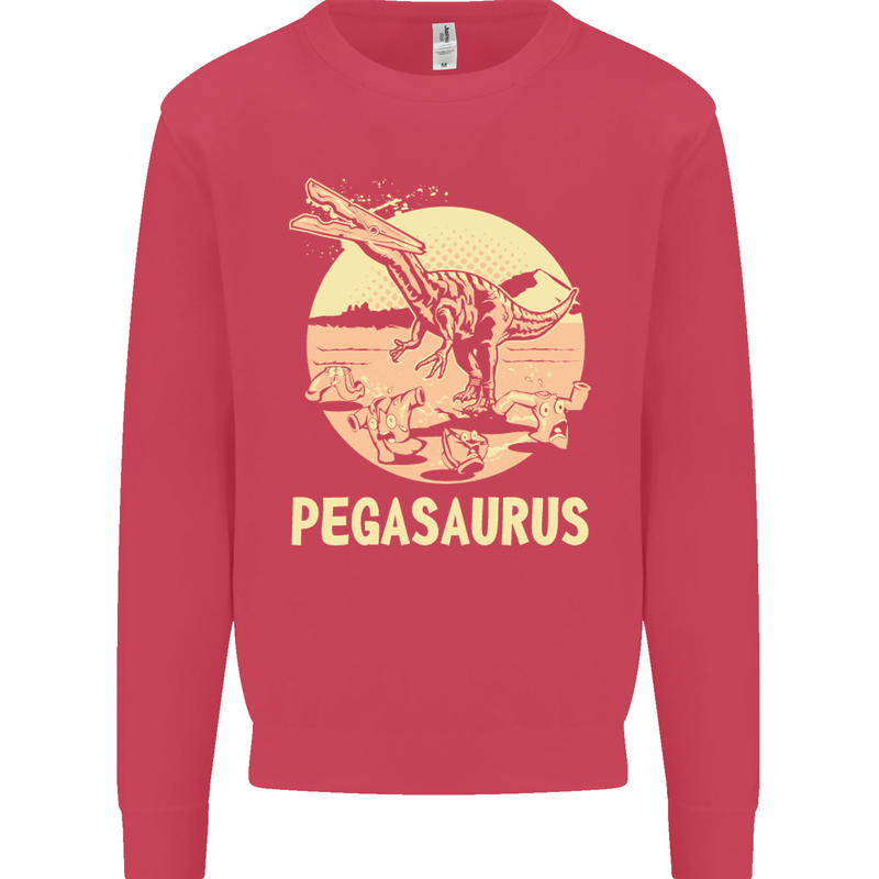Pegasaurus Dinosaur T-Rex Funny Kids Sweatshirt Jumper Heliconia