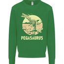 Pegasaurus Dinosaur T-Rex Funny Kids Sweatshirt Jumper Irish Green