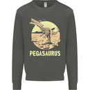 Pegasaurus Dinosaur T-Rex Funny Kids Sweatshirt Jumper Storm Grey