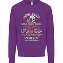 Photography Now Wait Photographer Funny Mens Sweatshirt Jumper Purple