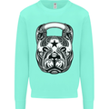 Pitbull Kettlebell Gym Training Top Workout Mens Sweatshirt Jumper Peppermint