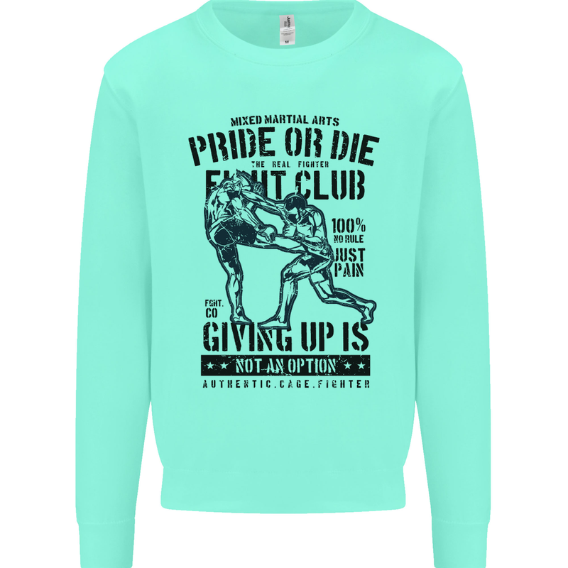 Pride MMA Muay Thai Mixed Martial Arts Mens Sweatshirt Jumper Peppermint