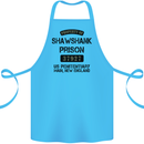 Property of Shawshank Prison Movie 90's Cotton Apron 100% Organic Turquoise