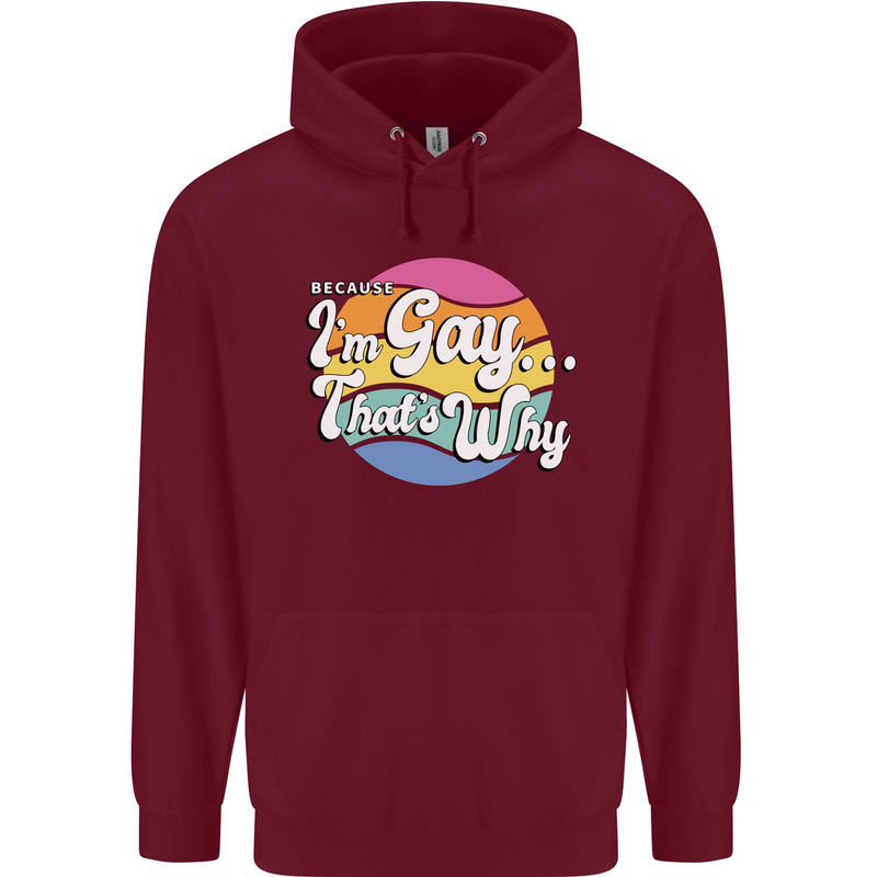 Proud To Be Gay LGBT Pride Awareness Childrens Kids Hoodie Maroon