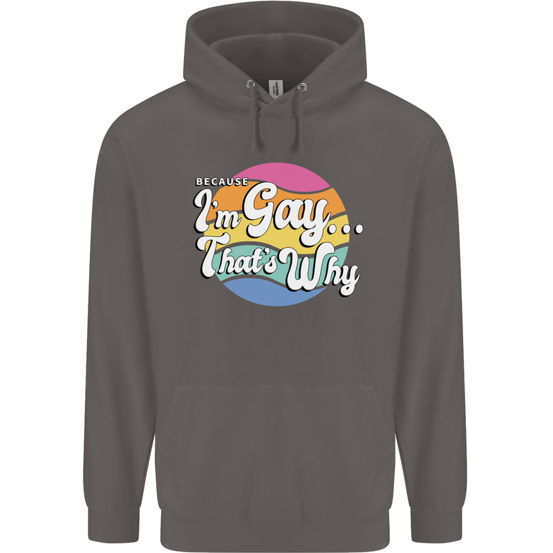 Proud To Be Gay LGBT Pride Awareness Mens 80% Cotton Hoodie Charcoal