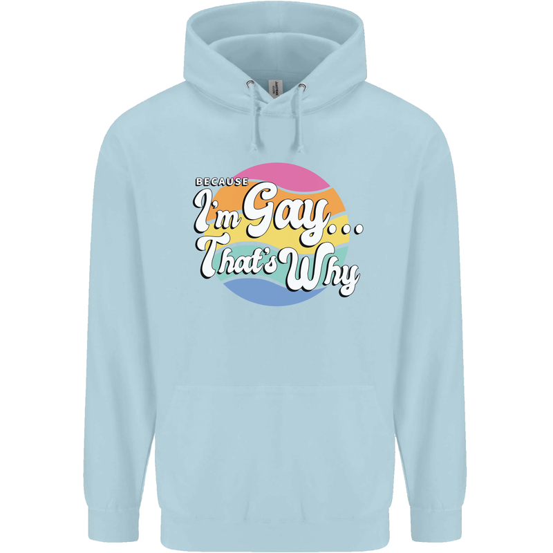 Proud To Be Gay LGBT Pride Awareness Mens 80% Cotton Hoodie Light Blue